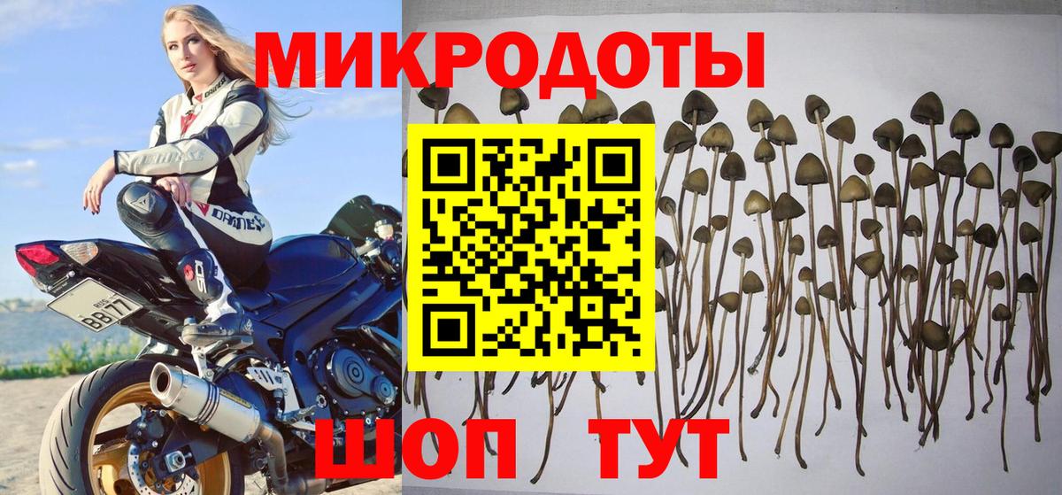 Галлюциногенные грибы мухоморы  Вход с VPN  Азнакаево 